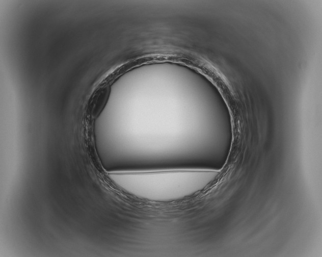X0000116681352200912140957