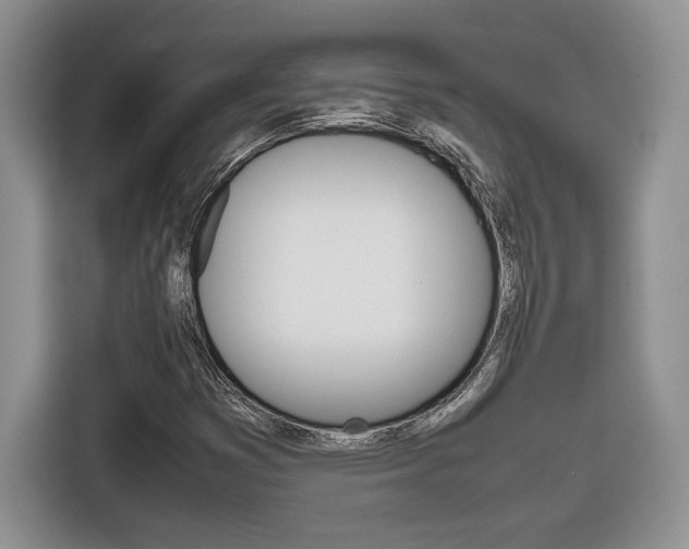 X0000116681353200912140957