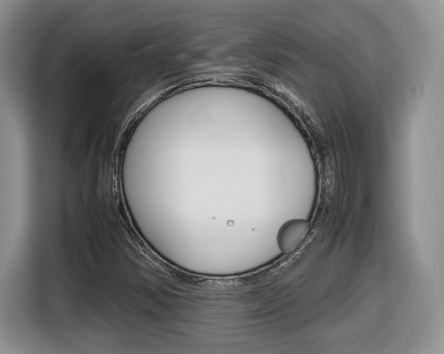 X0000116681354200912140957