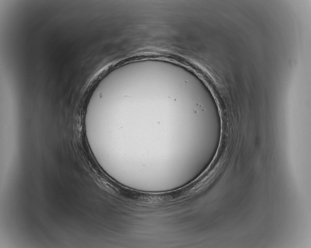 X0000116681355200912140957