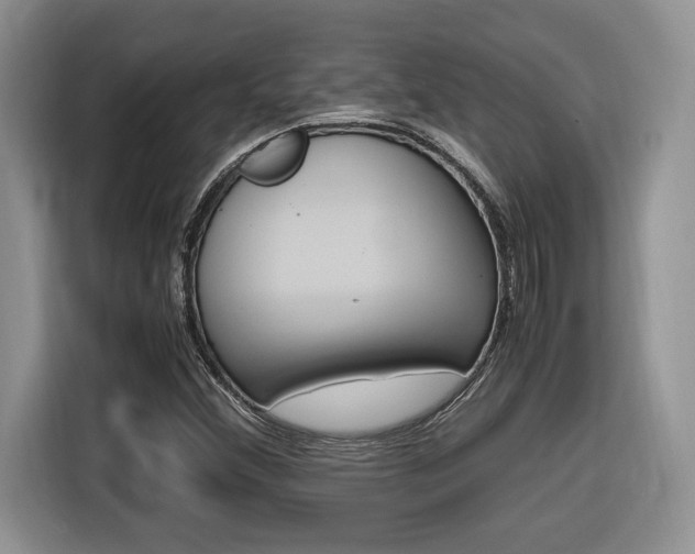 X0000116681356200912140957