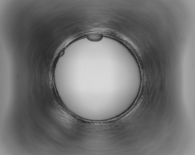 X0000116681362200912140957