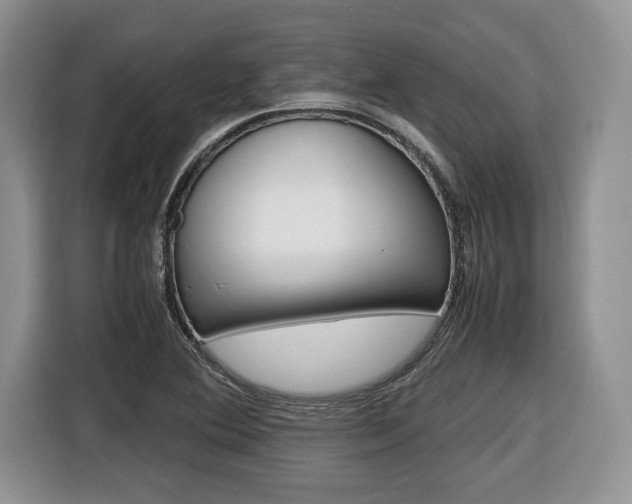 X0000116681364200912140957