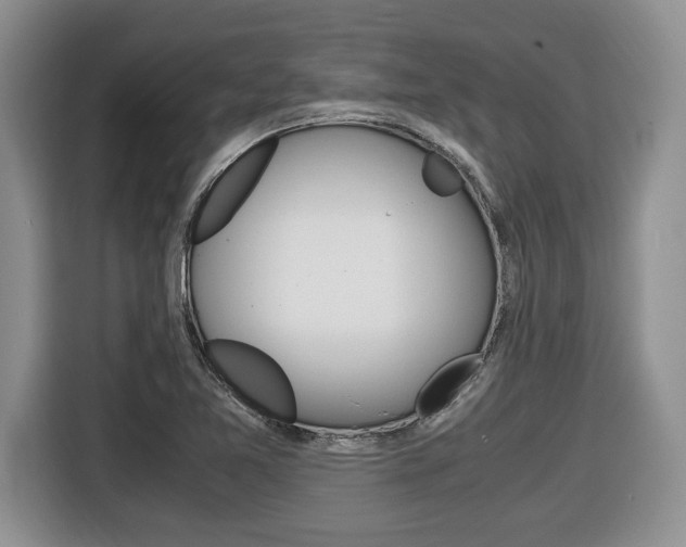 X0000116681365200912140957