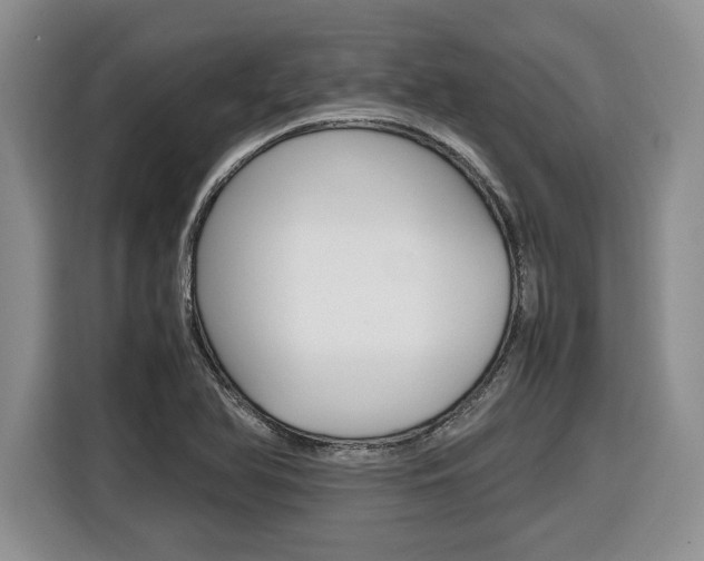 X0000116681366200912140957