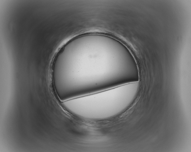X0000116681367200912140957