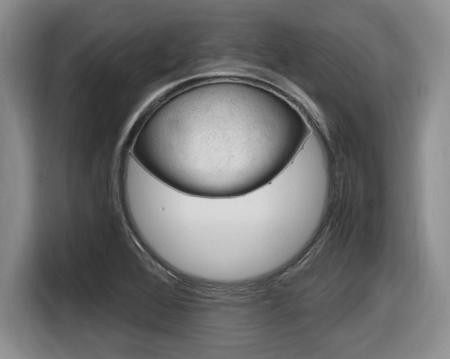 X0000116681368200912140957