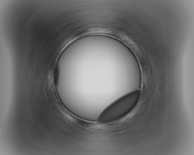 X0000116681369200912140957