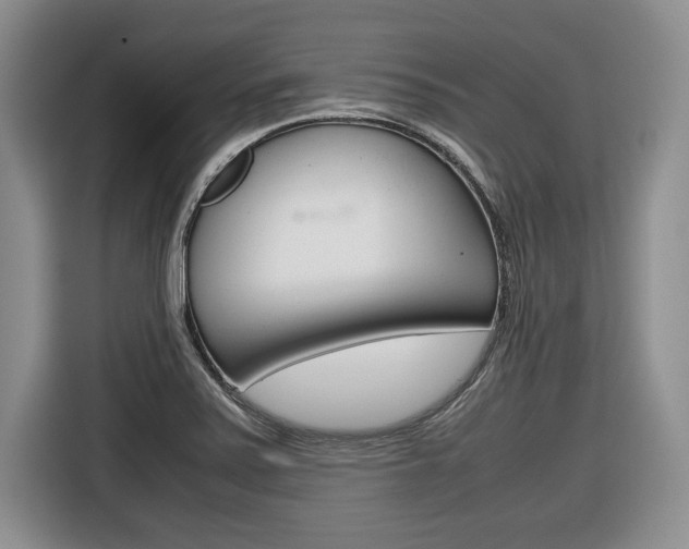 X0000116681371200912140957