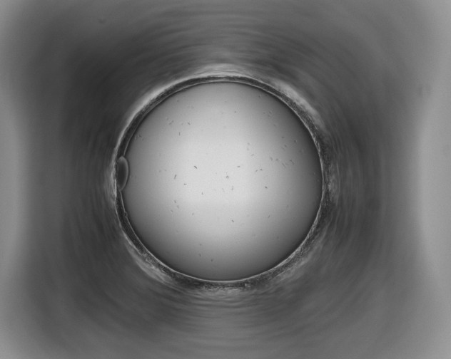 X0000116681372200912140957