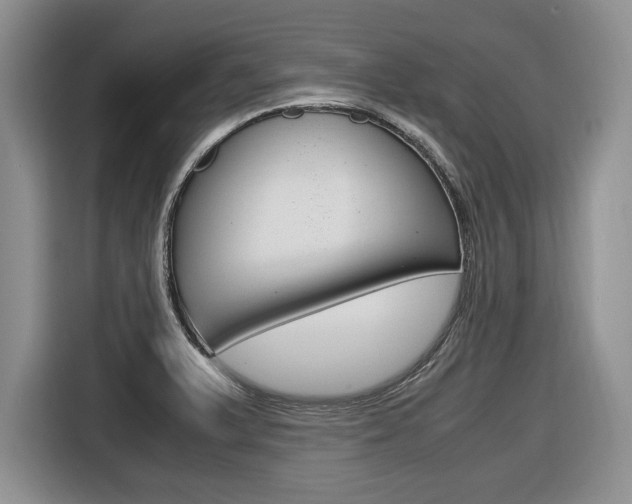 X0000116681375200912140957