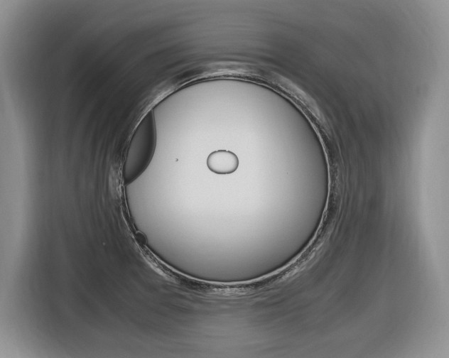 X0000116681377200912140957