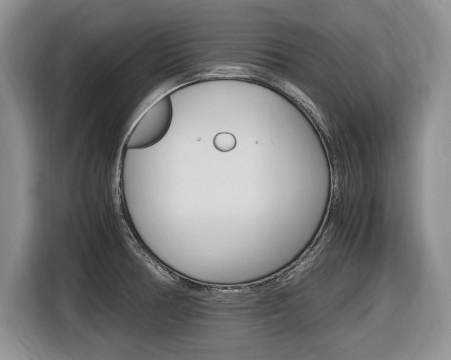 X0000116681378200912140957