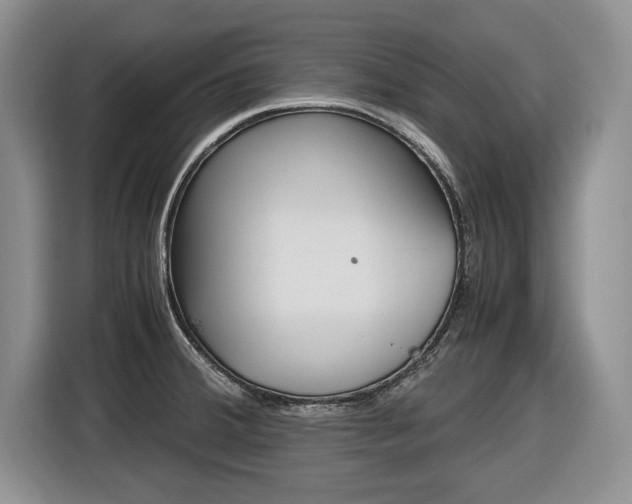 X0000116681380200912140957