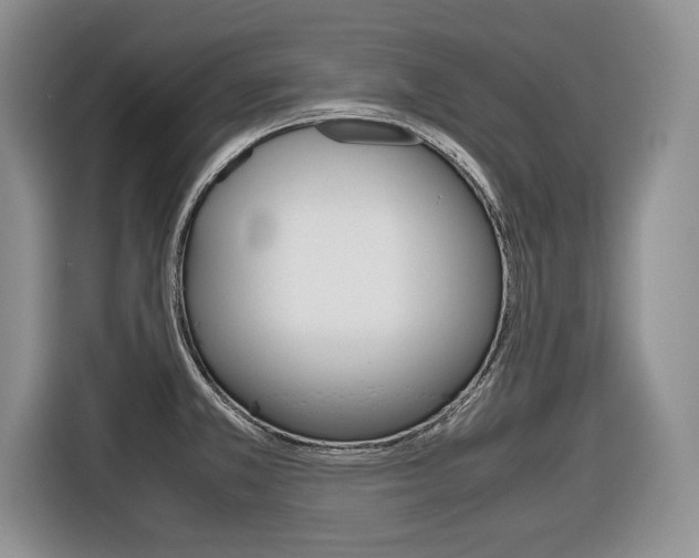 X0000116681381200912140957