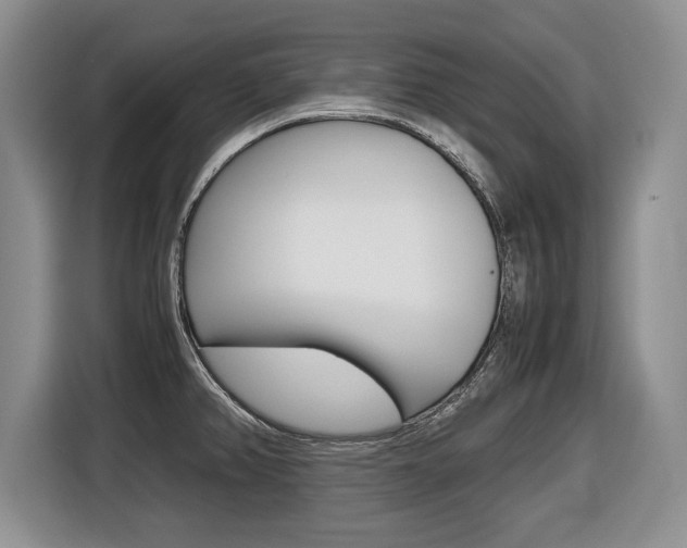 X0000116681382200912140956