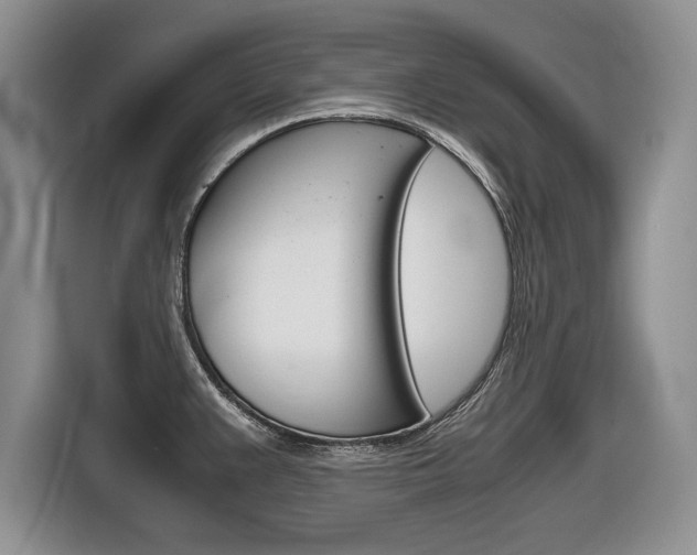 X0000116681383200912140956