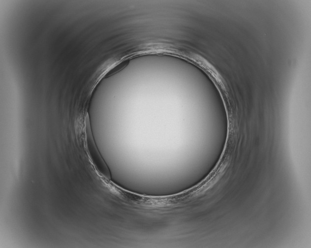 X0000116681385200912140956