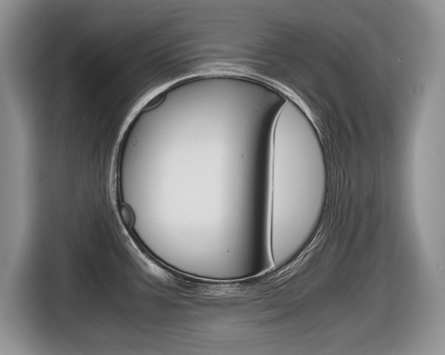 X0000116681387200912140956