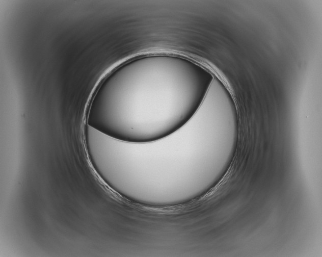 X0000116681388200912140956