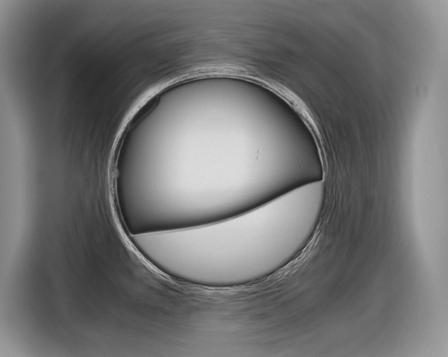 X0000116681389200912140956
