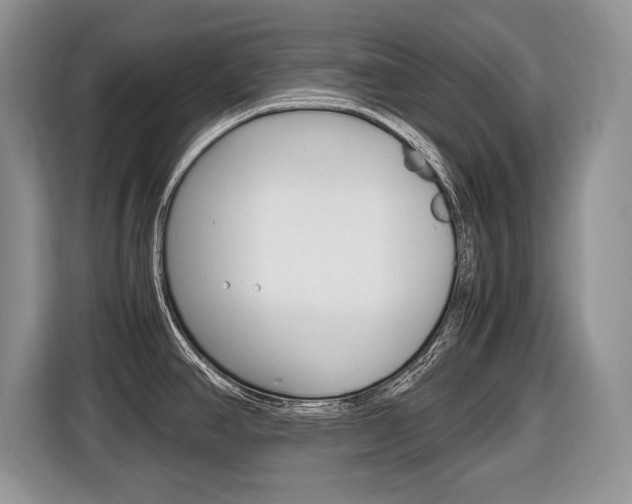 X0000116681390200912140956