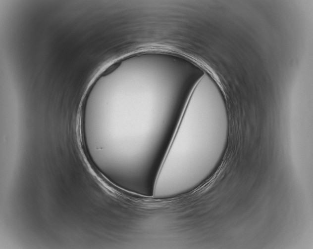 X0000116681391200912140956