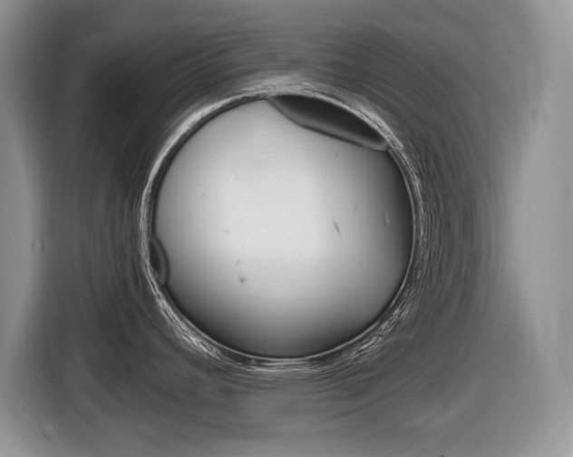 X0000116681392200912140956