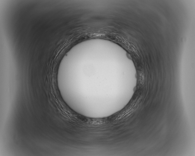 X0000116681393200912140956