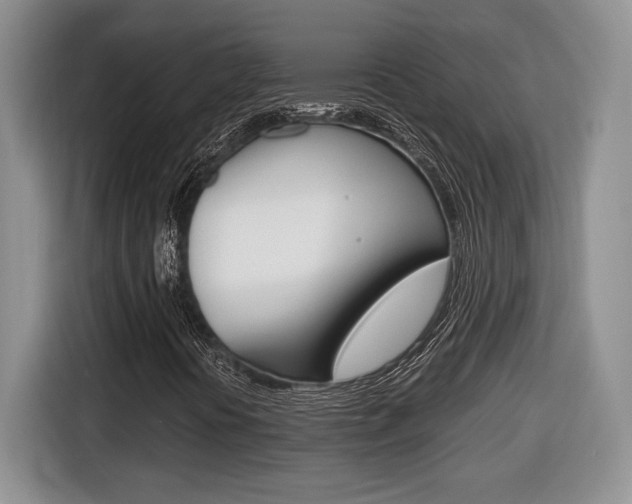 X0000116681394200912140956