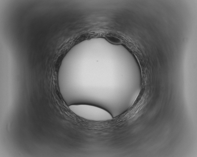 X0000116681397200912140956