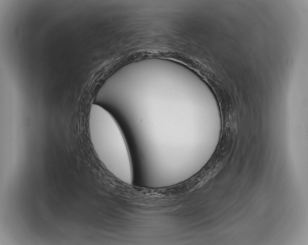 X0000116681398200912140956