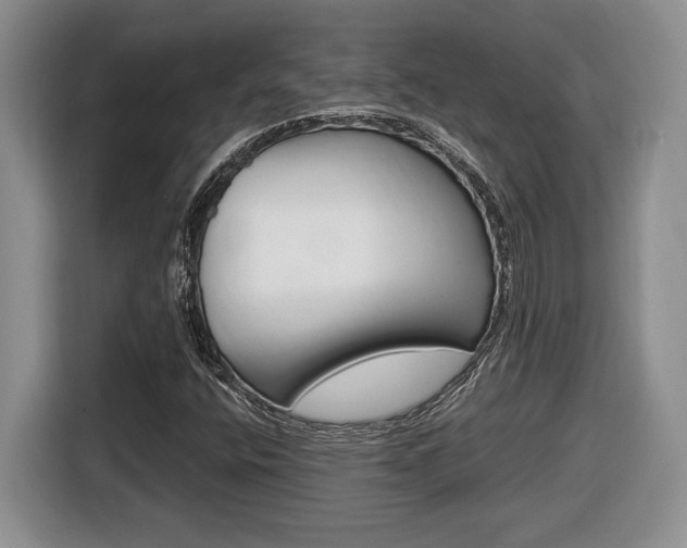 X0000116681400200912140956