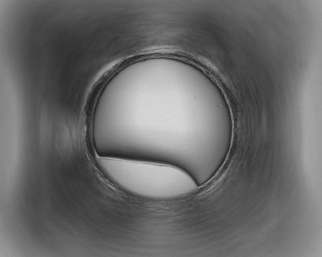X0000116681406200912140956