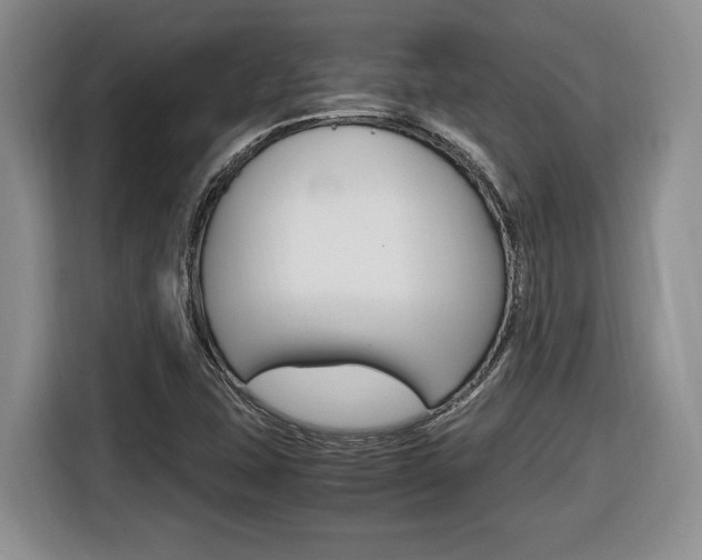 X0000116681407200912140956