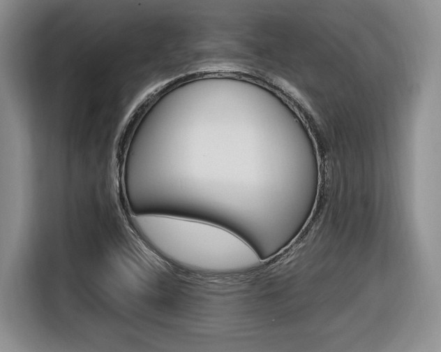 X0000116681408200912140956