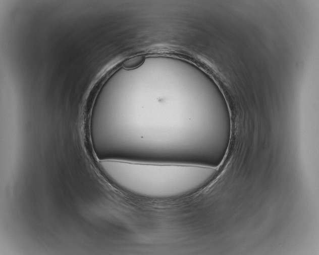 X0000116681410200912140956