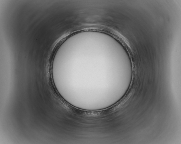 X0000116681411200912140956