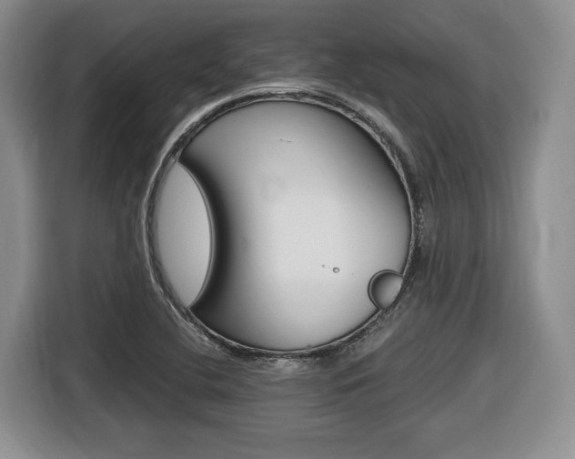 X0000116681412200912140956
