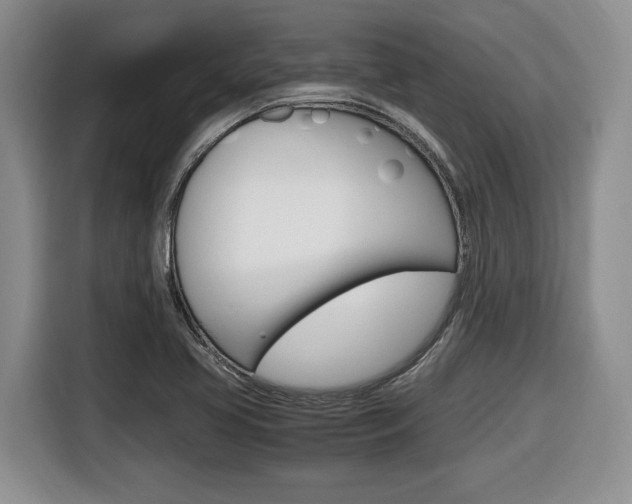 X0000116681413200912140956