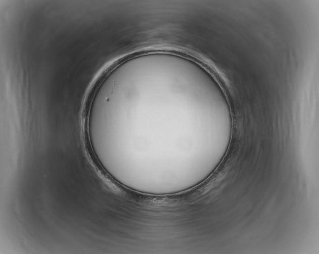 X0000116681416200912140956