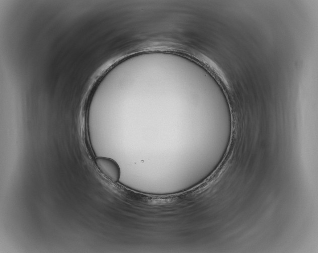 X0000116681419200912140956