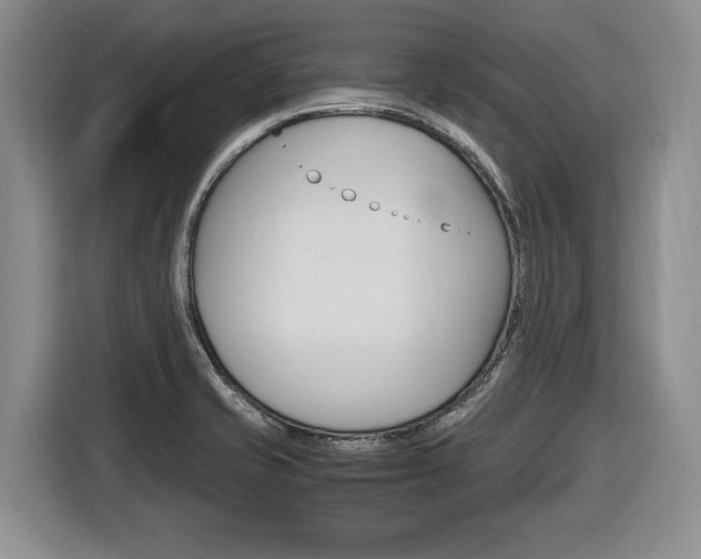 X0000116681421200912140956