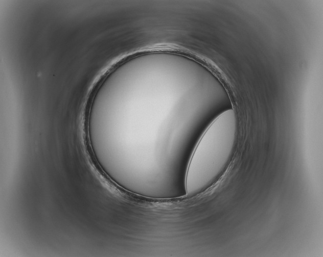 X0000116681422200912140956