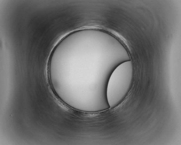 X0000116681423200912140956
