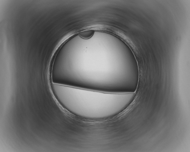X0000116681426200912140956