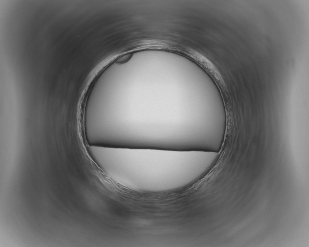 X0000116681427200912140956