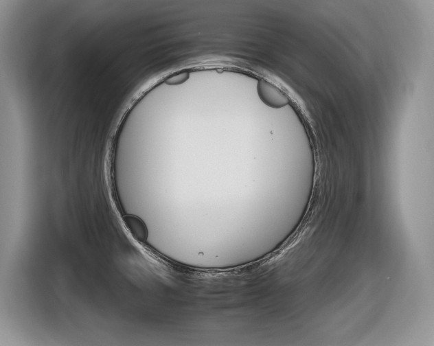 X0000116681429200912140956