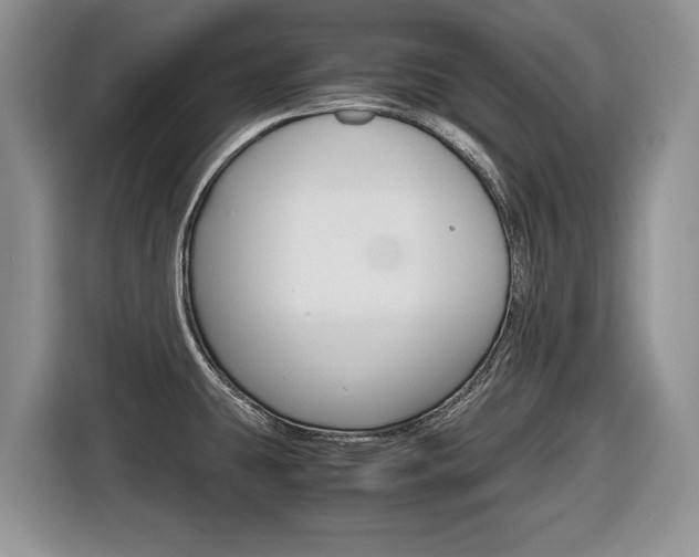 X0000116681431200912140956