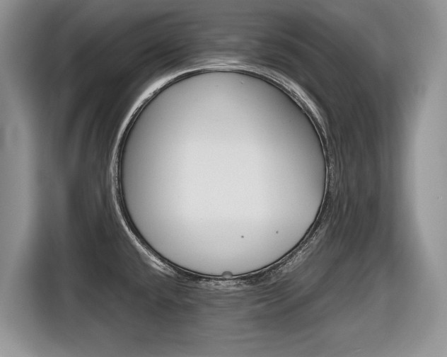 X0000116681432200912140956